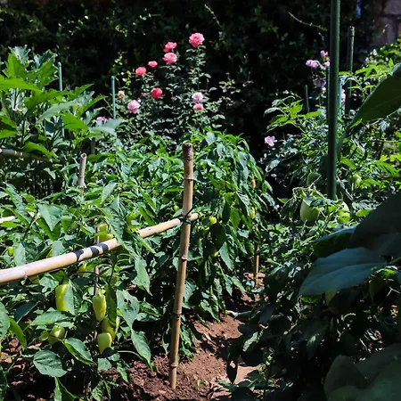 Апартаменты Garden M&m - One Bedroom Дубровник