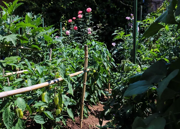 Διαμέρισμα Garden M&m - One Bedroom Ντουμπρόβνικ