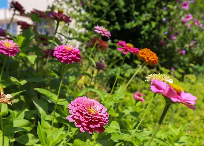 Garden M&m - One Bedroom دوبروفينك